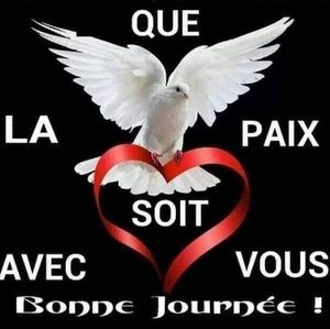 Meet your Posher, Diha